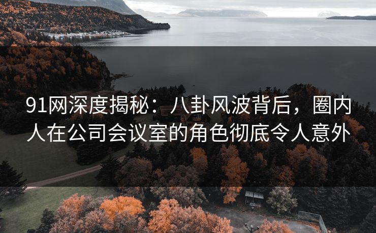 91网深度揭秘：八卦风波背后，圈内人在公司会议室的角色彻底令人意外