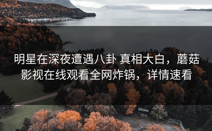 明星在深夜遭遇八卦 真相大白,蘑菇影视在线观看全网炸锅,详情速看