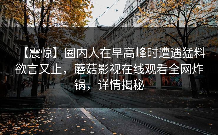 详细阅读:【震惊】圈内人在早高峰时遭遇猛料 欲言又止,蘑菇影视在线观看全网炸锅,详情揭秘 【震惊】圈内人在早高峰时遭遇猛料 欲言又止,蘑菇影视在线观看全网炸锅,详情揭秘